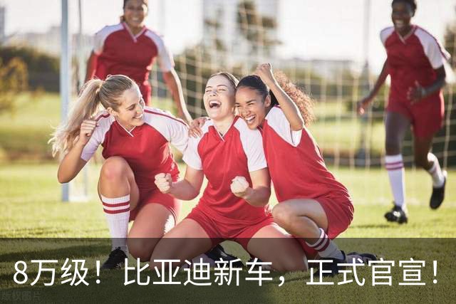 8万级！比亚迪新车，正式官宣！